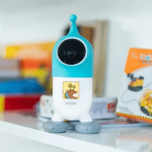 Roybi Robot